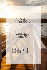暗夜，“猛龙”出击！